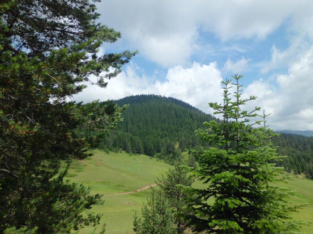 Ilgaz Derbent Hotel ภายนอก รูปภาพ